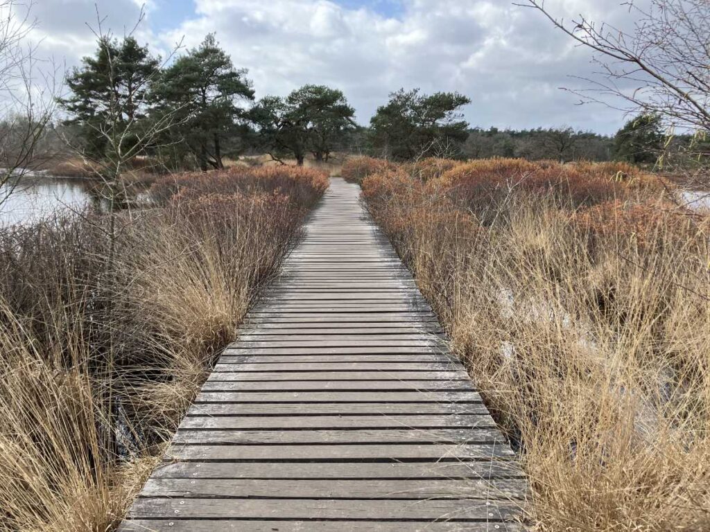 Malpie Knuppelbrug