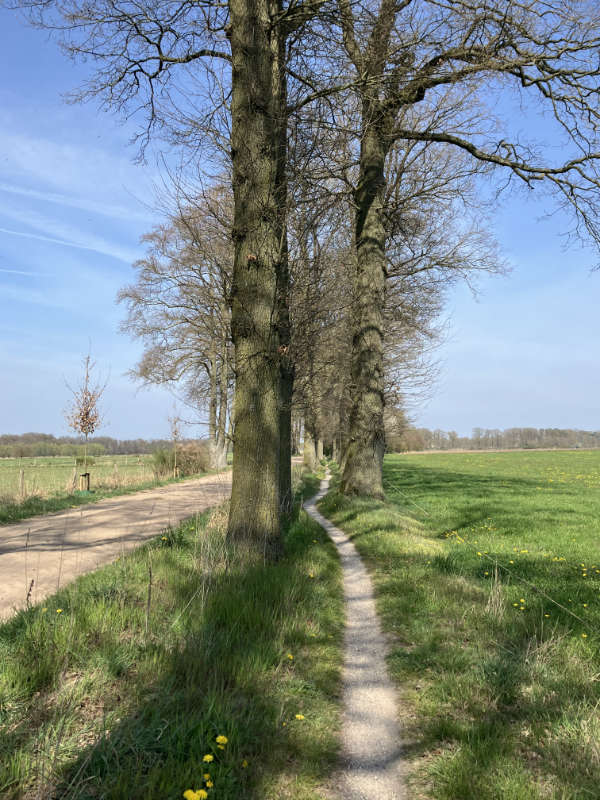 Landelijk weggetje