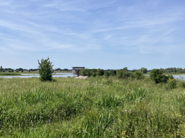 Vogelkijkhut Vreugderijkerwaard