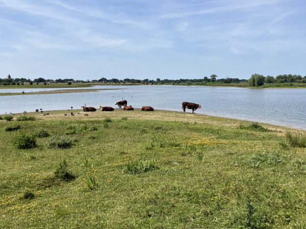 Vreugderijkerwaard