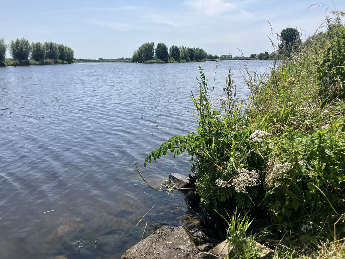 zarte water vecht