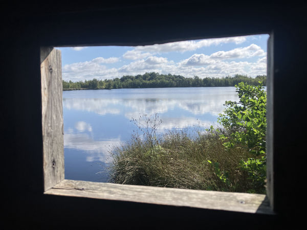 uitzicht vogelkijkhut fochteloerveen